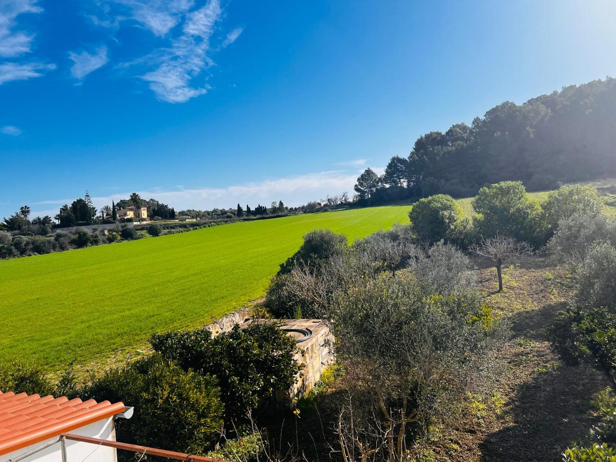 Es Puig Villa Santa Margalida Bagian luar foto