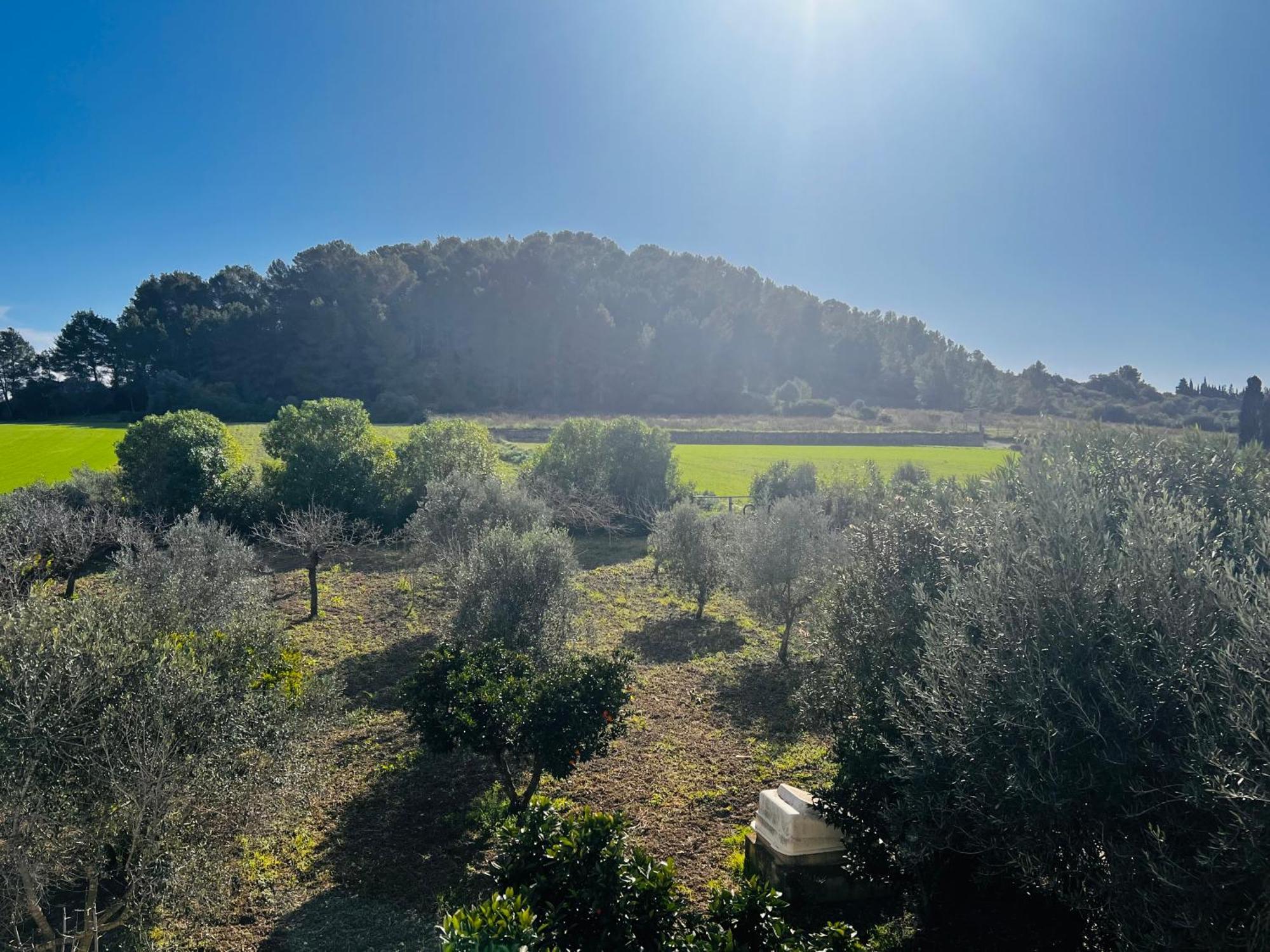 Es Puig Villa Santa Margalida Bagian luar foto