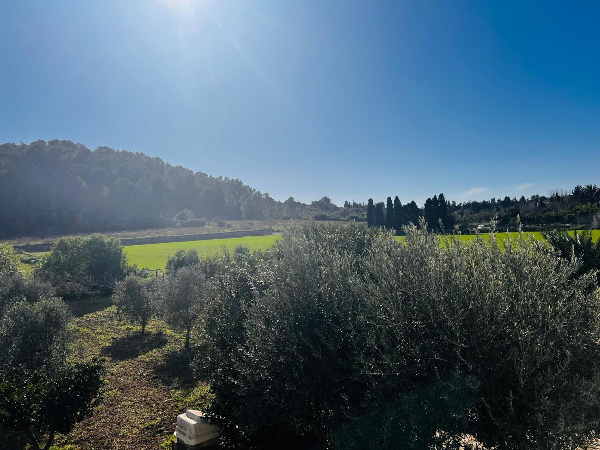 Es Puig Villa Santa Margalida Bagian luar foto