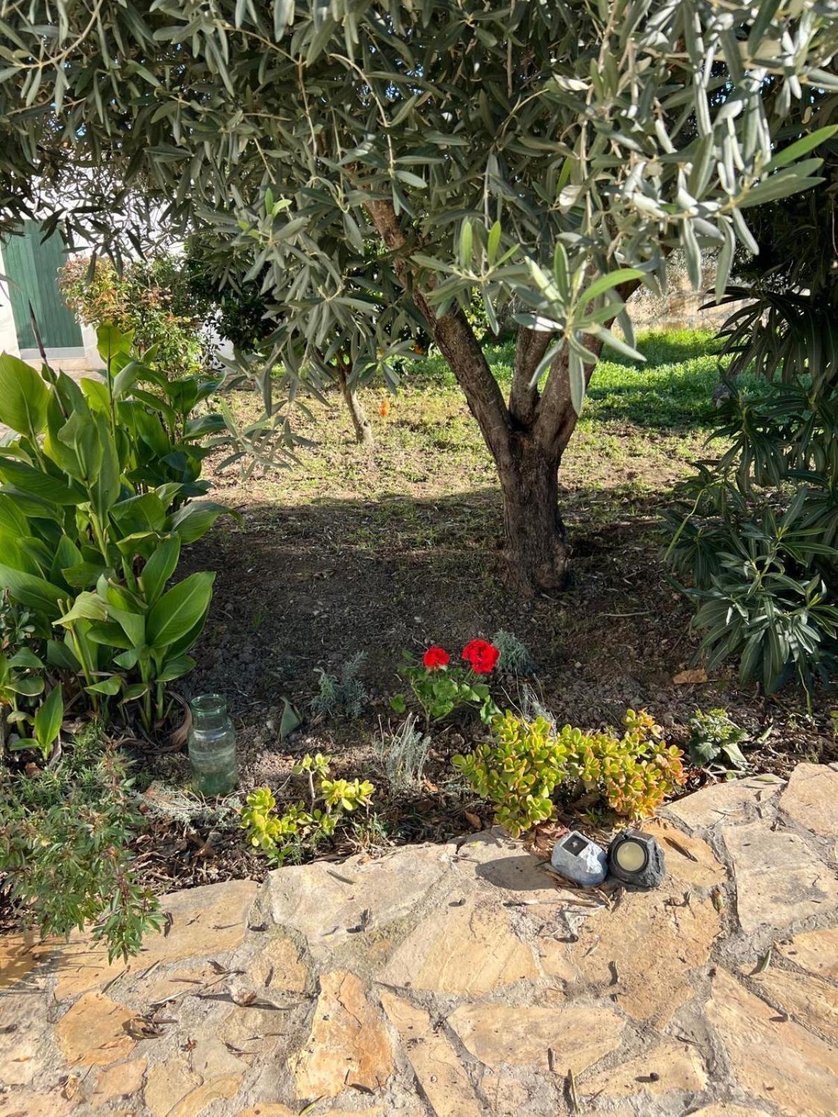 Es Puig Villa Santa Margalida Bagian luar foto